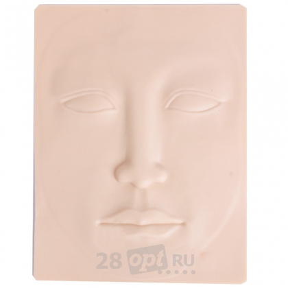 3D лицо для практики CTT021